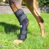 WalkinPets hock hugger 8