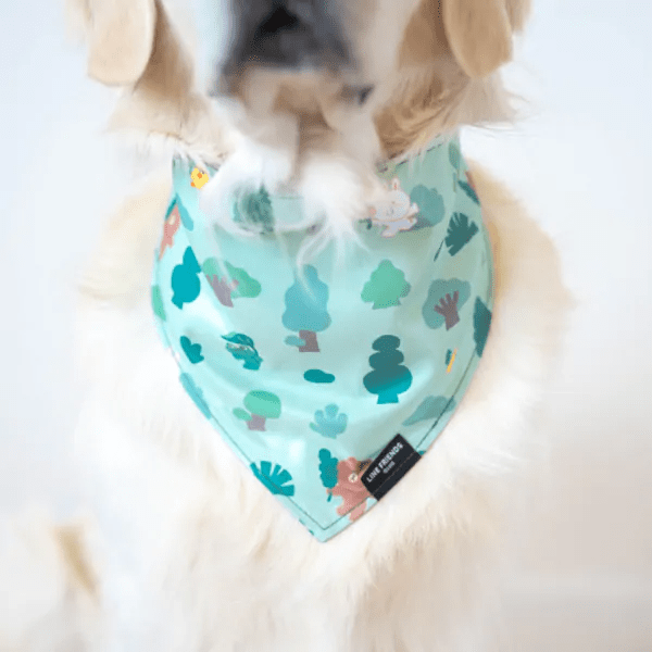 LINE FRIENDS Bandana BROWNS Forest Adventure 1
