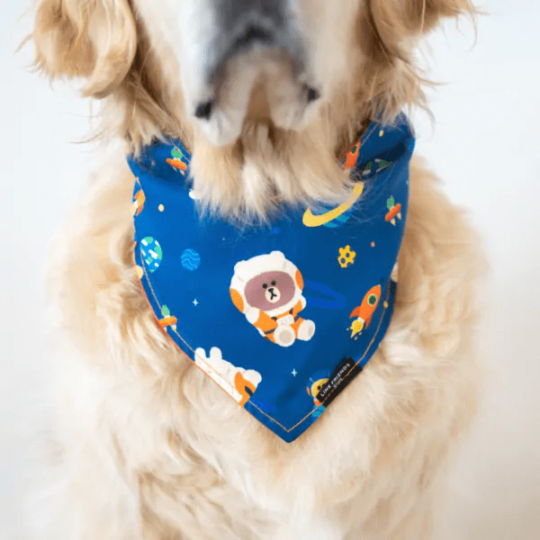 LINE FRIENDS 頸巾 - 熊大太空漫游 2 LINE FRIENDS Bandana BROWNS Space Odyssey