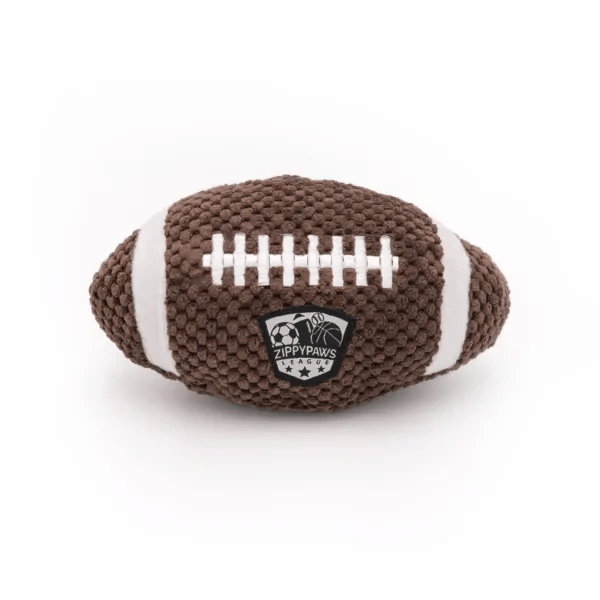 SportsBallz Football 1