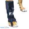 Walkin' Pets 前腳掌訓練襪 1 WALKIN PETS Front No Knuckling Sock 前脚掌訓練襪 1