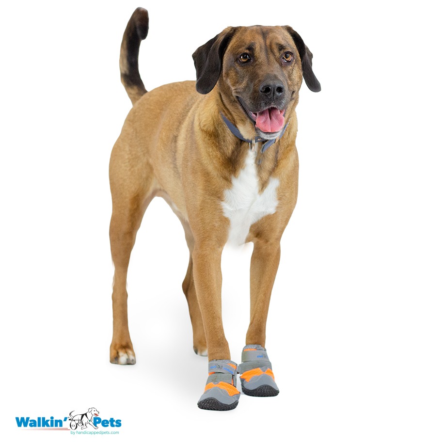 Walkin' Boots 狗狗防滑鞋