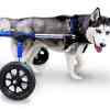 walkinpets wheelchair rear 寵物輪椅後輪 1